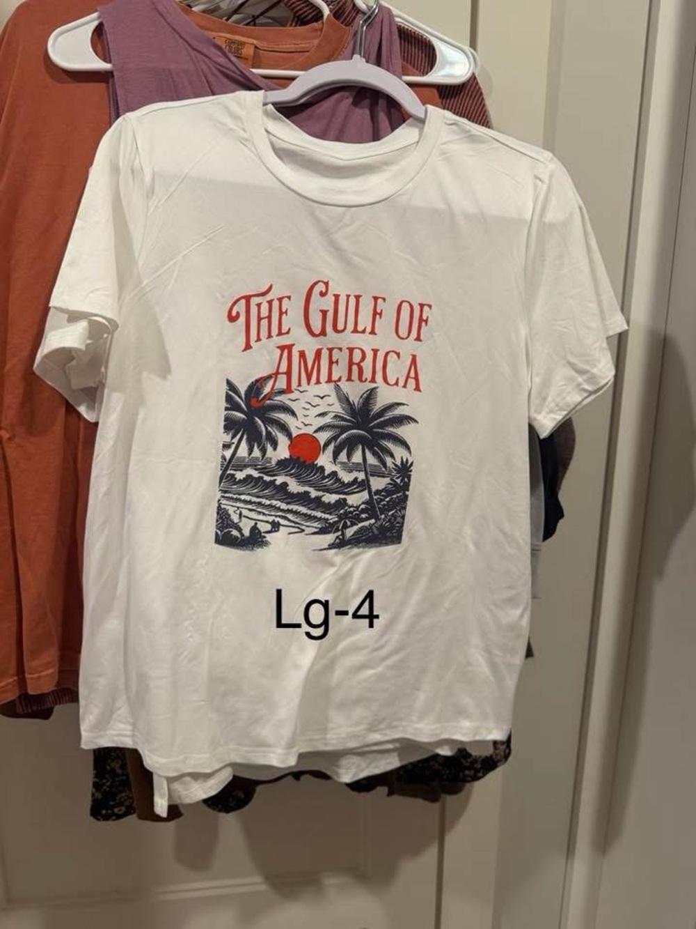White 'The Gulf of America' Graphic Tee - Sunset Palm Print